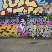 Copenhagen-walls-April-2016_Graffiti_Spraydaily_02_Lex, Road, HM
