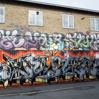 Copenhagen-walls-April-2016_Graffiti_Spraydaily_03_Miles, FYS