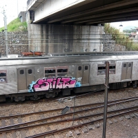 Stile_VLOK_L163_HMNI_Graffiti_Spraydaily_11