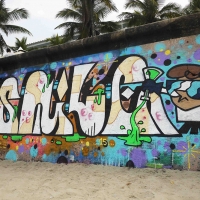 Stile_VLOK_L163_HMNI_Graffiti_Spraydaily_12