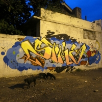 Stile_VLOK_L163_HMNI_Graffiti_Spraydaily_17