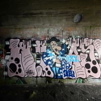 W.tazz_PNP_RTS_K432_HMNI_Spraydaily_Graffiti_Stockholm_13
