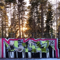W.tazz_PNP_RTS_K432_HMNI_Spraydaily_Graffiti_Stockholm_28
