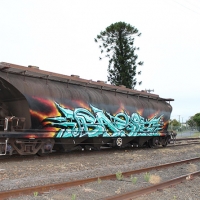 Basix_Hmni_Spraydaily_Graffiti_Australia_06