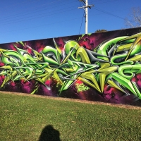 Basix_Hmni_Spraydaily_Graffiti_Australia_20