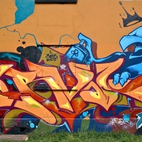 Serval_HMNI_Spraydaily_Graffiti_Geneva_01