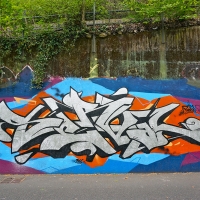Serval_HMNI_Spraydaily_Graffiti_Geneva_03