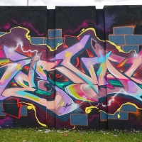 Serval_HMNI_Spraydaily_Graffiti_Geneva_04