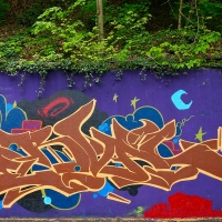 Serval_HMNI_Spraydaily_Graffiti_Geneva_05