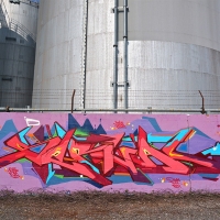 Serval_HMNI_Spraydaily_Graffiti_Geneva_06