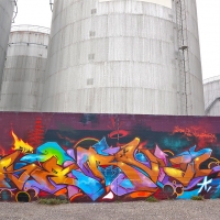Serval_HMNI_Spraydaily_Graffiti_Geneva_07