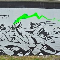 Serval_HMNI_Spraydaily_Graffiti_Geneva_08