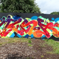 Roskilde Graffiti_Rfgraff_Copenhagen_Spraydaily_Denmark_34_Musa