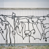 Thorfine_Flash-1_08