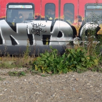 ntd-c-graffiti-strain-copenhagen-2013