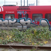 psr-graffiti-strain-copenhagen-2013