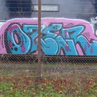Ozer_CWS