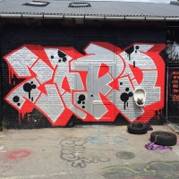 Copenhagen-Walls_Spraydaily_14