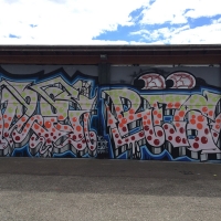 Copenhagen-Walls_Spraydaily_16