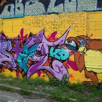 Copenhagen-Walls_Spraydaily_55