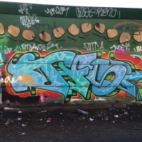 Copenhagen_Walls_Graffiti_Spraydaily_TFS_21.jpg