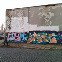dmote_5