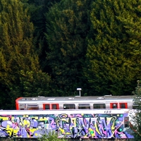 Gofey_Tumblr_SprayDaily_03