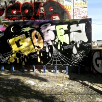 Gofey_Tumblr_SprayDaily_07