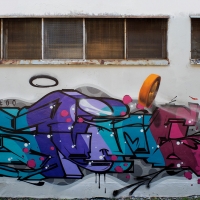 Svame_HMNI_Spraydaily_Graffiti_Italy_13