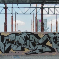 Svame_HMNI_Spraydaily_Graffiti_Italy_17