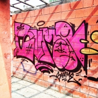 Svame_HMNI_Spraydaily_Graffiti_Italy_22