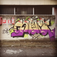 Svame_HMNI_Spraydaily_Graffiti_Italy_23