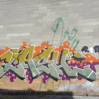 2Flash_RTR_CI_Graffiti_Melbourne_Australia_Spraydaily_11