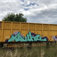 Akume_TNS_Sydney_Australia_Graffiti_Spraydaily_HMNI_10