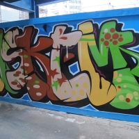 Askem_SDM_HMNI_Spraydaily_Graffiti_11.jpg