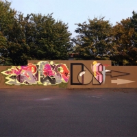 Dais_ASS_HMNI_Graffiti_Spraydaily_45