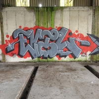 DR Evil_FOES_FLIES_Graffiti_HMNI_Spraydaily_07.jpg
