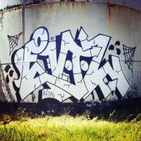DR Evil_FOES_FLIES_Graffiti_HMNI_Spraydaily_12.jpg