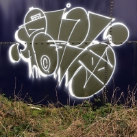DR Evil_FOES_FLIES_Graffiti_HMNI_Spraydaily_16.jpg