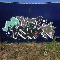 DR Evil_FOES_FLIES_Graffiti_HMNI_Spraydaily_17.jpg