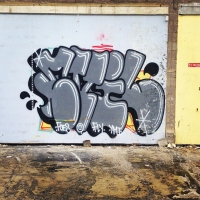 DR Evil_FOES_FLIES_Graffiti_HMNI_Spraydaily_21.jpg