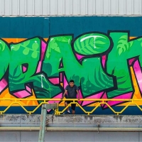 Drain_VRS_HMNI_Spraydaily_Graffiti_Mexico_jalisco_07