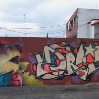 Drain_VRS_HMNI_Spraydaily_Graffiti_Mexico_jalisco_08