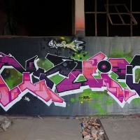 Druid81_HMNI_Graffiti_Grafiti_Spraydaily_07