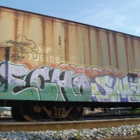 Echo_HMNI_Graffiti_Spraydaily_28