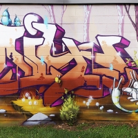 Emit_HMNI_Spraydaily_Graffiti_10