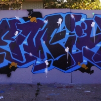 Emit_HMNI_Spraydaily_Graffiti_17