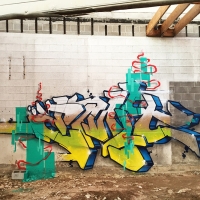 Emit_HMNI_Spraydaily_Graffiti_18