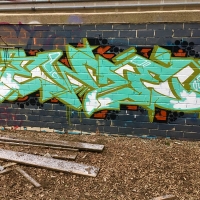 Ewze_Graffiti_USA_America_Spraydaily_01