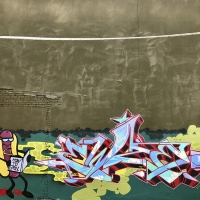 Ewze_Graffiti_USA_America_Spraydaily_06